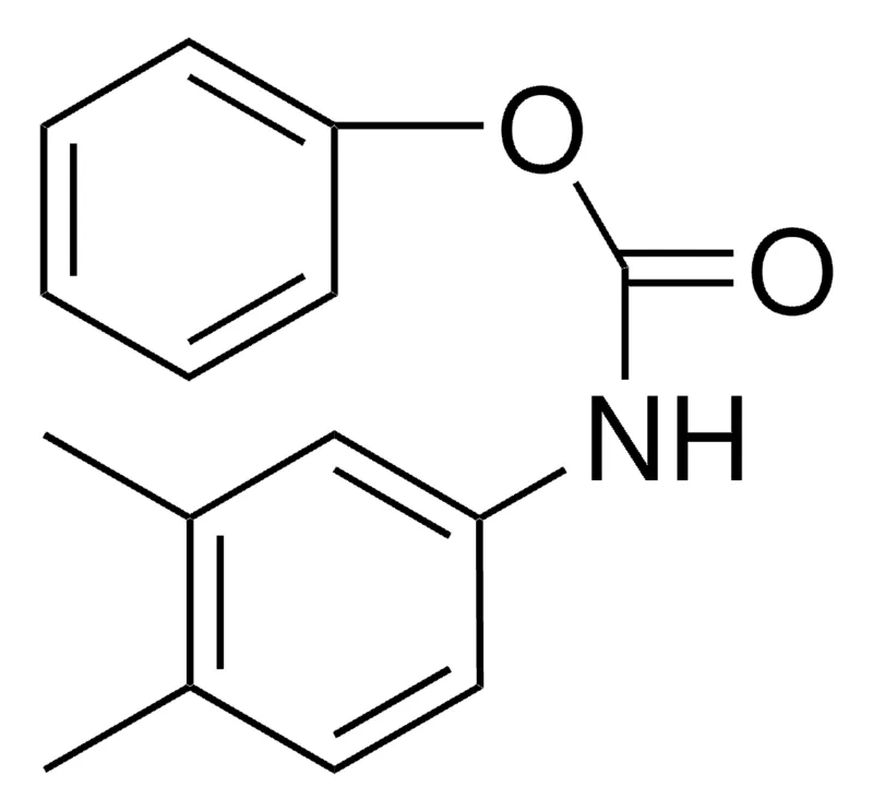 Sigma-Aldrich PHENYL N-(3,4-XYLYL)CARBAMATE,AldrichCPR