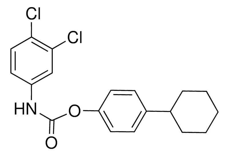 Sigma-Aldrich 4-CYCLOHEXYLPHENYL N-(3,4-DICHLOROPHENYL)CARBAMATE,AldrichCPR
