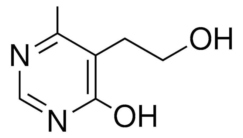 Sigma-Aldrich 5-(2-HYDROXY-ETHYL)-6-METHYL-PYRIMIDIN-4-OL,AldrichCPR
