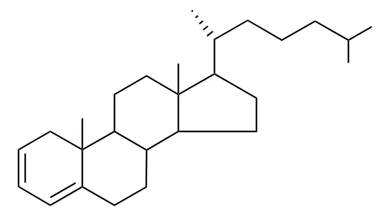 Sigma-Aldrich CHOLESTA-2,4-DIENE，AldrichCPR