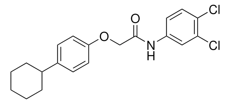 Sigma-Aldrich 2-(4-CYCLOHEXYLPHENOXY)-N-(3,4-DICHLOROPHENYL)ACETAMIDE,AldrichCPR