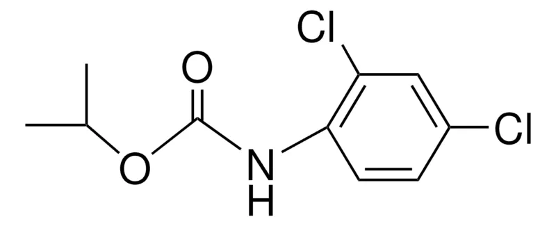 Sigma-Aldrich ISOPROPYL N-(2,4-DICHLOROPHENYL)CARBAMATE,AldrichCPR