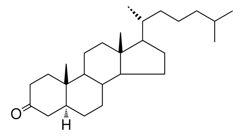 Sigma-Aldrich 17-(1,5-DIMETHYL-HEXYL)-10,13-DI-ME-HEXADECAHYDRO-CYCLOPENTA(A)PHENANTHREN-3-ONE,AldrichCPR