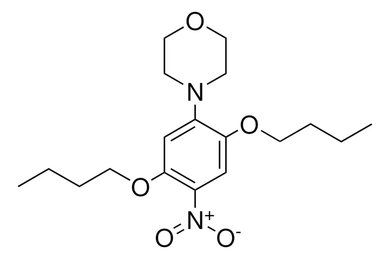 Sigma-Aldrich 4-(2,5-DIBUTOXY-4-NITROPHENYL)MORPHOLINE,AldrichCPR