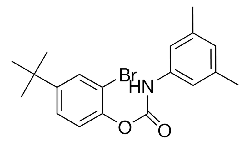 Sigma-Aldrich 2-BROMO-4-TERT-BUTYLPHENYL N-(3,5-DIMETHYLPHENYL)CARBAMATE，AldrichCPR