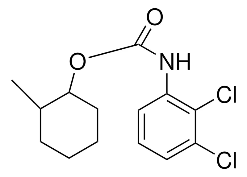 Sigma-Aldrich 2-METHYLCYCLOHEXYL N-(2,3-DICHLOROPHENYL)CARBAMATE,AldrichCPR