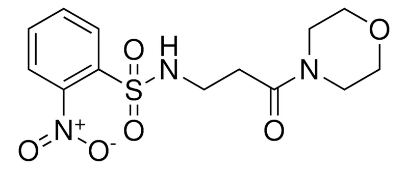Sigma-Aldrich N-(3-(4-MORPHOLINYL)-3-OXOPROPYL)-2-NITROBENZENESULFONAMIDE,AldrichCPR