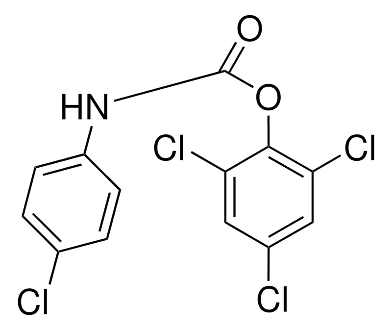 Sigma-Aldrich 2,4,6-TRICHLOROPHENYL N-(4-CHLOROPHENYL)CARBAMATE,AldrichCPR