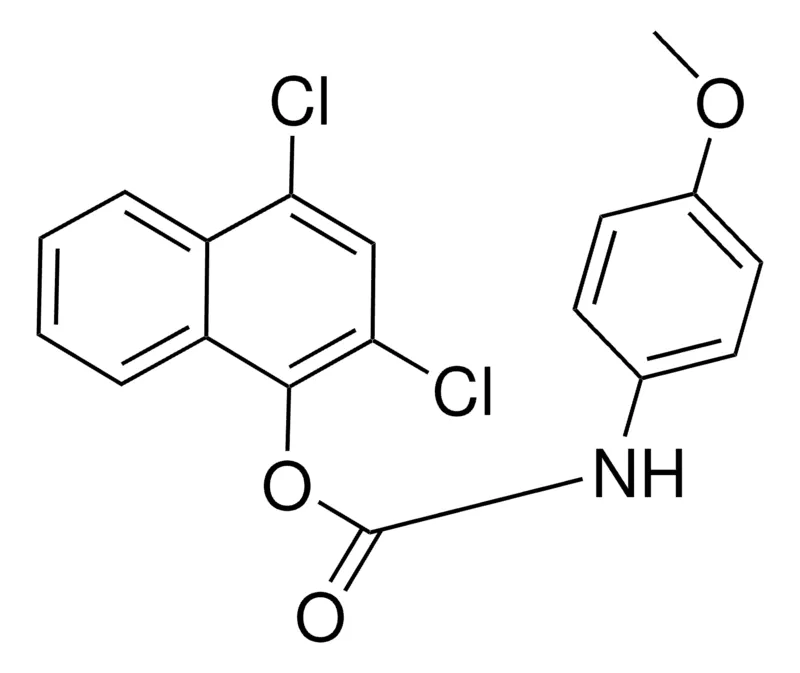 Sigma-Aldrich 2,4-DICHLORO-1-NAPHTHYL N-(4-METHOXYPHENYL)CARBAMATE,AldrichCPR