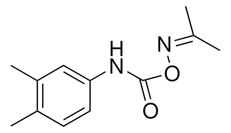 Sigma-Aldrich O-(N-(3,4-XYLYL)CARBAMOYL)ACETONE OXIME,AldrichCPR