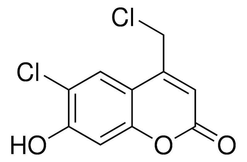 Sigma-Aldrich 6-CHLORO-4-(CHLOROMETHYL)-7-HYDROXY-2H-CHROMEN-2-ONE,AldrichCPR