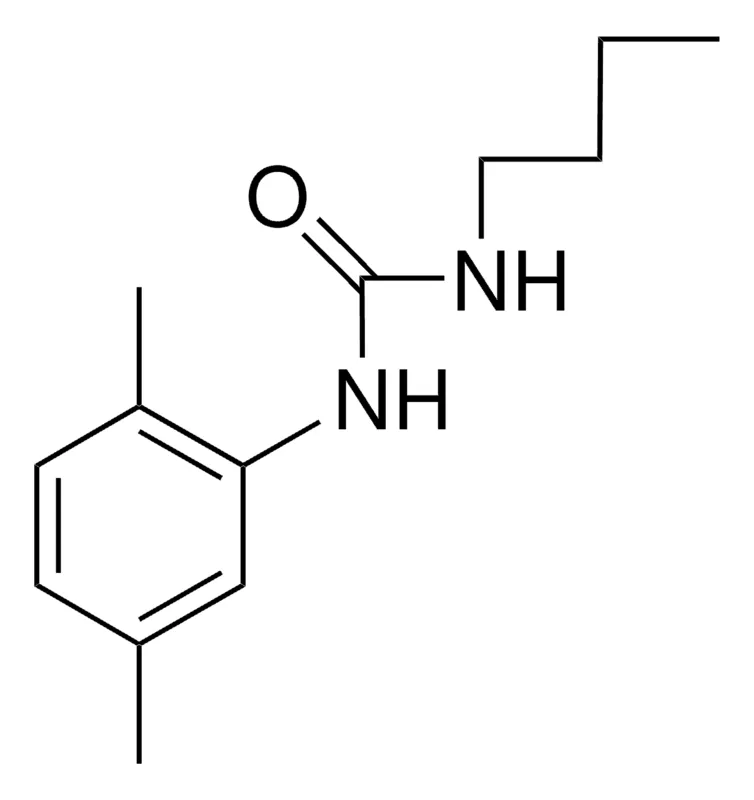 Sigma-Aldrich 1-BUTYL-3-(2,5-XYLYL)UREA,AldrichCPR