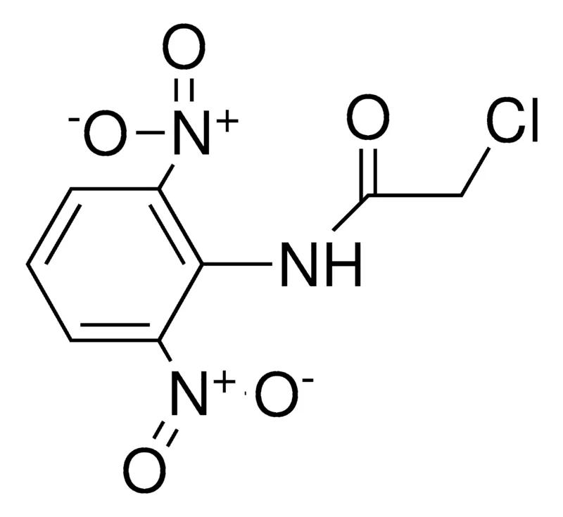 Sigma-Aldrich 2-CHLORO-N-(2,6-DINITRO-PHENYL)-ACETAMIDE,AldrichCPR