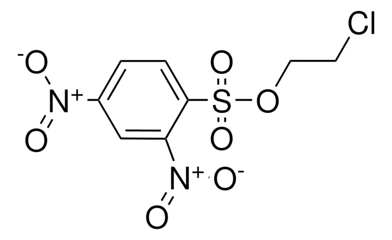 Sigma-Aldrich 2-CHLOROETHYL 2,4-DINITROBENZENESULFONATE,AldrichCPR