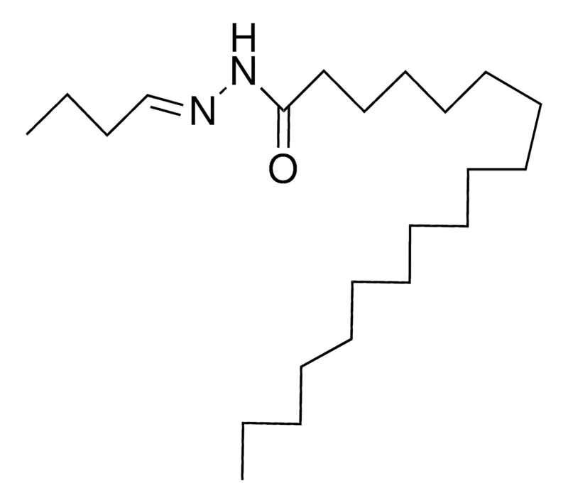 Sigma-Aldrich OCTADECANOIC BUTYLIDENEHYDRAZIDE,AldrichCPR