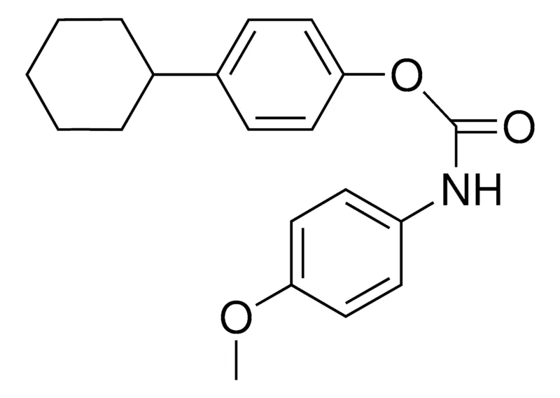 Sigma-Aldrich 4-CYCLOHEXYLPHENYL N-(4-METHOXYPHENYL)CARBAMATE,AldrichCPR