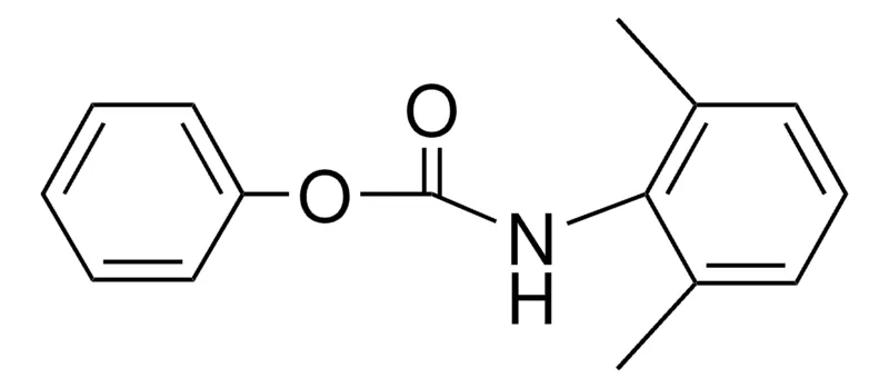 Sigma-Aldrich PHENYL N-(2,6-XYLYL)CARBAMATE,AldrichCPR