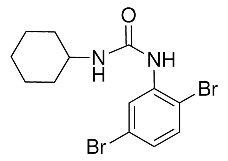 Sigma-Aldrich 1-CYCLOHEXYL-3-(2,5-DIBROMOPHENYL)UREA,AldrichCPR