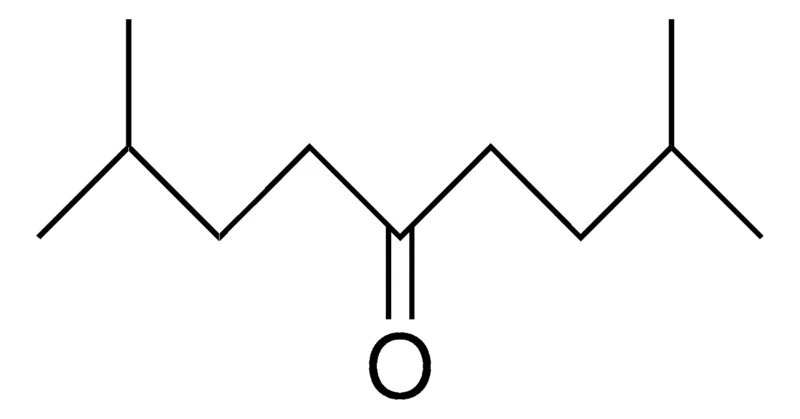 Sigma-Aldrich 2,8-DIMETHYL-5-NONANONE,AldrichCPR