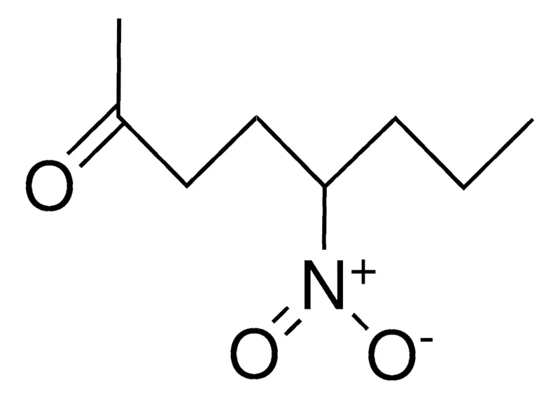 Sigma-Aldrich 5-NITRO-2-OCTANONE,AldrichCPR