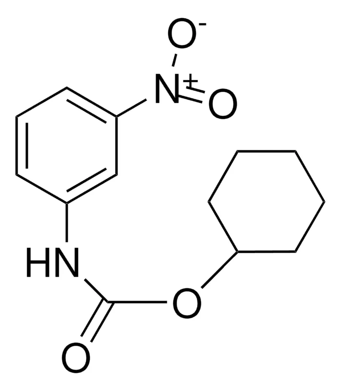 Sigma-Aldrich CYCLOHEXYL N-(3-NITROPHENYL)CARBAMATE,AldrichCPR