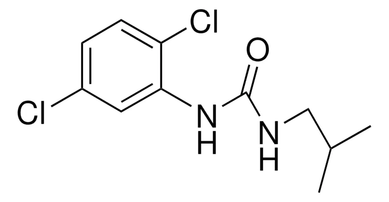 Sigma-Aldrich 1-(2,5-DICHLOROPHENYL)-3-ISOBUTYLUREA,AldrichCPR