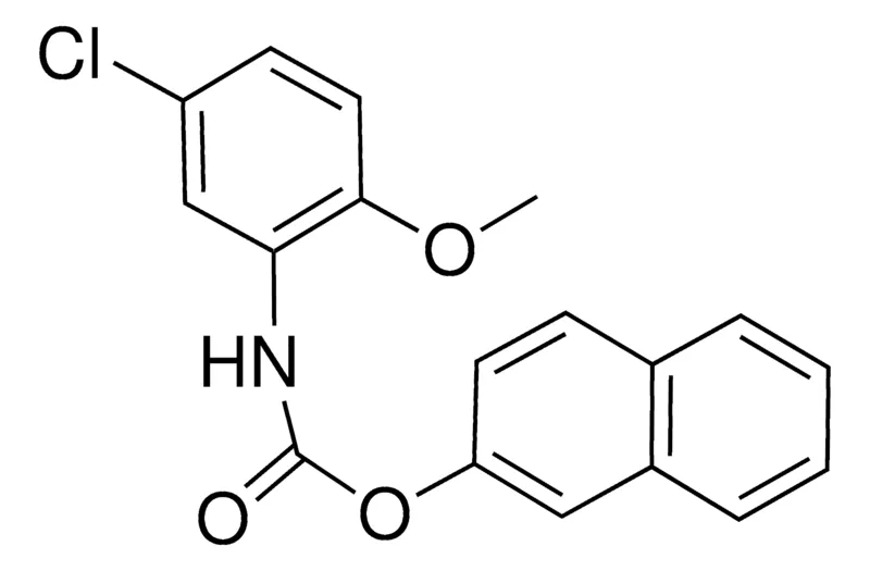 Sigma-Aldrich 2-NAPHTHYL N-(5-CHLORO-2-METHOXYPHENYL)CARBAMATE,AldrichCPR