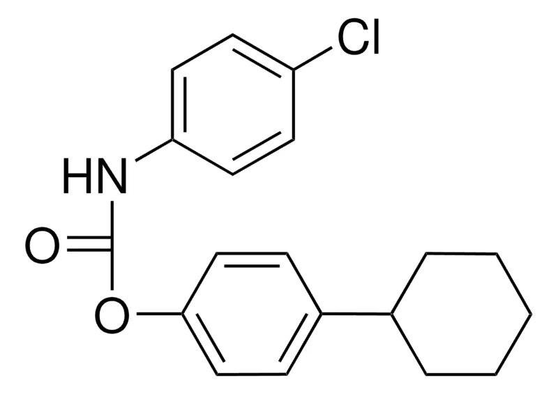 Sigma-Aldrich 4-CYCLOHEXYLPHENYL N-(4-CHLOROPHENYL)CARBAMATE,AldrichCPR