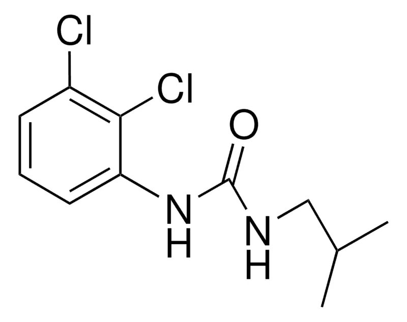 Sigma-Aldrich 1-(2,3-DICHLOROPHENYL)-3-ISOBUTYLUREA,AldrichCPR