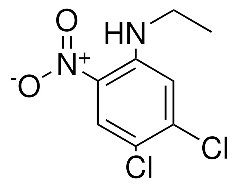 Sigma-Aldrich 4,5-DICHLORO-N-ETHYL-2-NITROANILINE,AldrichCPR