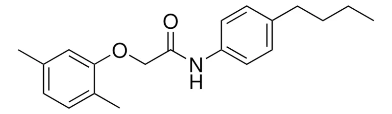 Sigma-Aldrich N-(4-BUTYLPHENYL)-2-(2,5-DIMETHYLPHENOXY)ACETAMIDE,AldrichCPR
