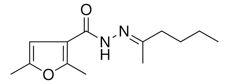 Sigma-Aldrich 2,5-DIMETHYL-N'-(1-METHYLPENTYLIDENE)-3-FUROHYDRAZIDE,AldrichCPR