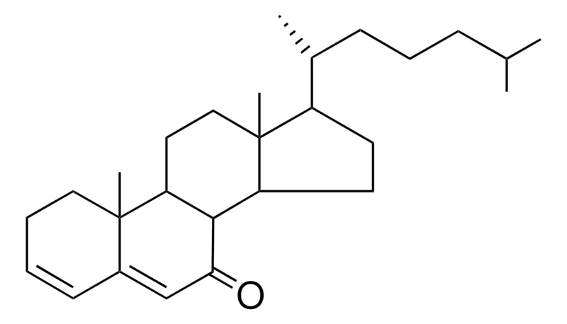 Sigma-Aldrich 17-(DIMETHYL-HEXYL)-10,13-DIMETHYL-DODECAHYDRO-CYCLOPENTA(A)PHENANTHREN-7-ONE,AldrichCPR