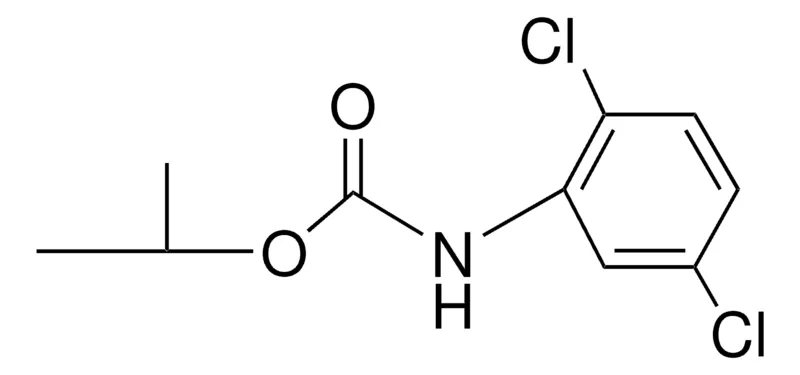 Sigma-Aldrich ISOPROPYL N-(2,5-DICHLOROPHENYL)CARBAMATE,AldrichCPR