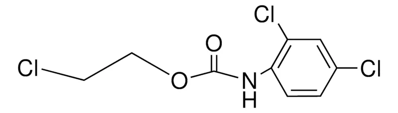 Sigma-Aldrich 2-CHLOROETHYL N-(2,4-DICHLOROPHENYL)CARBAMATE,AldrichCPR