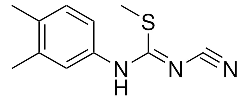 Sigma-Aldrich METHYL N'-CYANO-N-(3,4-DIMETHYLPHENYL)IMIDOTHIOCARBAMATE,AldrichCPR