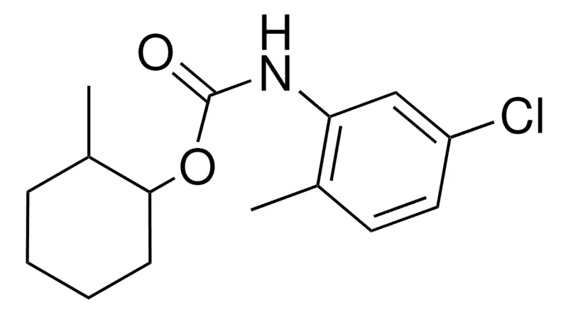 Sigma-Aldrich 2-METHYLCYCLOHEXYL N-(5-CHLORO-2-METHYLPHENYL)CARBAMATE,AldrichCPR