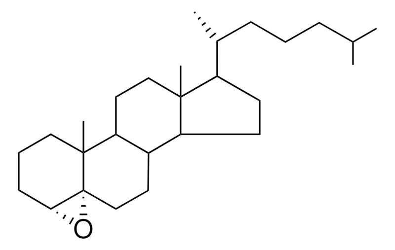 Sigma-Aldrich 4-ALPHA,5-EPOXY-5-ALPHA-CHOLESTANE,AldrichCPR