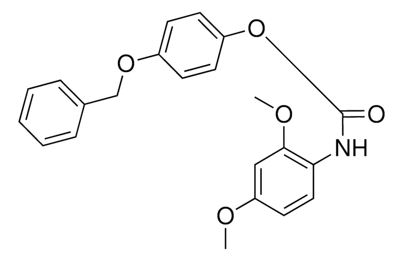 Sigma-Aldrich 4-(BENZYLOXY)PHENYL N-(2,4-DIMETHOXYPHENYL)CARBAMATE,AldrichCPR