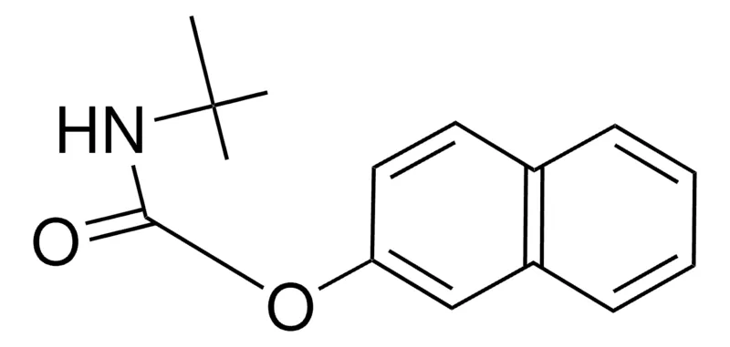 Sigma-Aldrich 2-NAPHTHYL N-TERT-BUTYLCARBAMATE，AldrichCPR