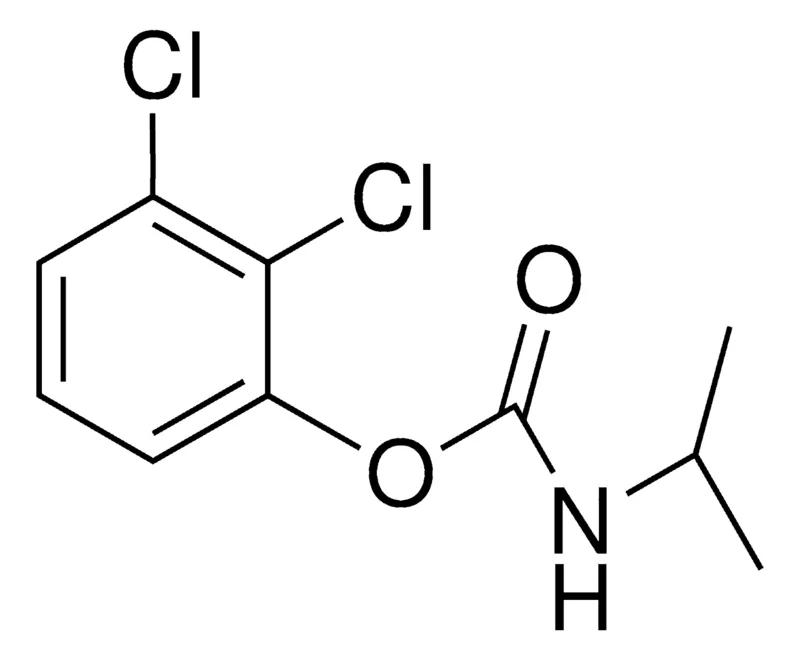 Sigma-Aldrich 2,3-DICHLOROPHENYL N-ISOPROPYLCARBAMATE,AldrichCPR