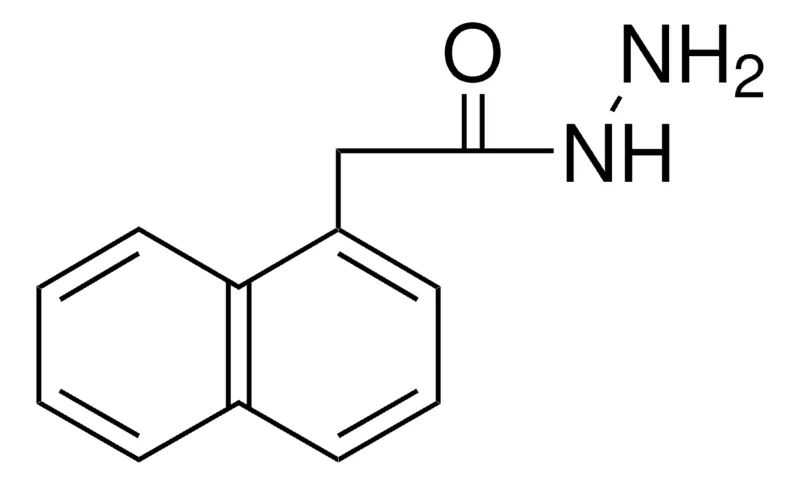 Sigma-Aldrich 1-NAPHTHYLACETIC HYDRAZIDE,AldrichCPR