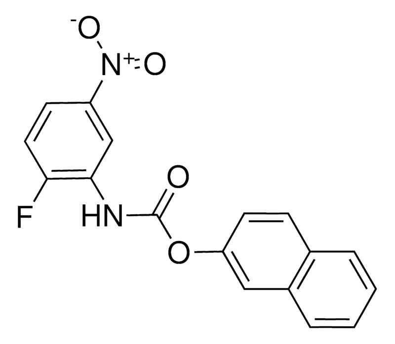 Sigma-Aldrich 2-NAPHTHYL N-(2-FLUORO-5-NITROPHENYL)CARBAMATE,AldrichCPR