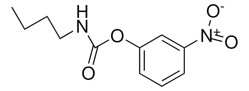Sigma-Aldrich 3-NITROPHENYL N-BUTYLCARBAMATE,AldrichCPR