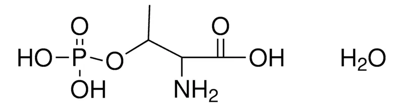 Sigma-Aldrich DL-THREONINE PHOSPHATE HYDRATE,AldrichCPR