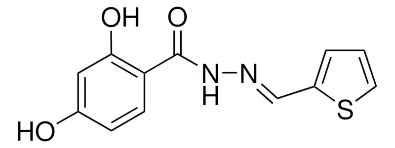 Sigma-Aldrich 2,4-DIHYDROXY-N'-(2-THIENYLMETHYLENE)BENZOHYDRAZIDE,AldrichCPR