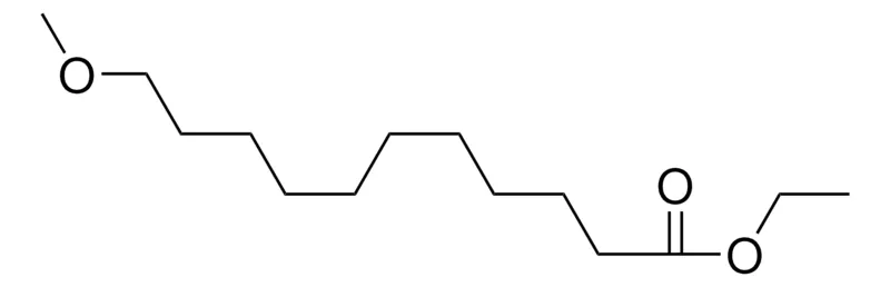 Sigma-Aldrich ETHYL 11-METHOXYUNDECANOATE,AldrichCPR