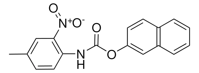 Sigma-Aldrich 2-NAPHTHYL N-(4-METHYL-2-NITROPHENYL)CARBAMATE,AldrichCPR