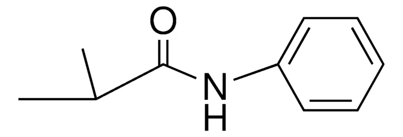 Sigma-Aldrich N-PHENYLISOBUTYRAMIDE,AldrichCPR