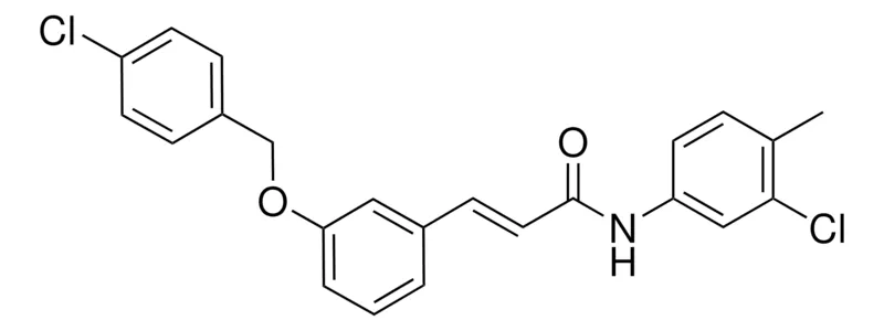 Sigma-Aldrich 3-(3-((4-CHLOROBENZYL)OXY)PHENYL)-N-(3-CHLORO-4-METHYLPHENYL)-2-PROPENAMIDE,AldrichCPR